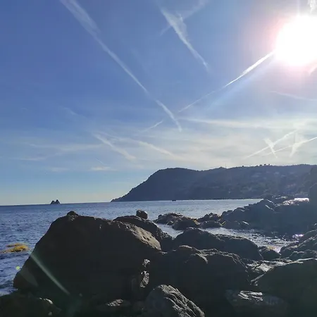 Апартаменты L'antre De 